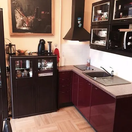Luxury Dana's City Centre Kaunas