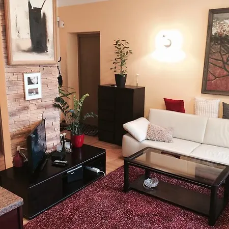 Luxury Dana's City Centre Kaunas